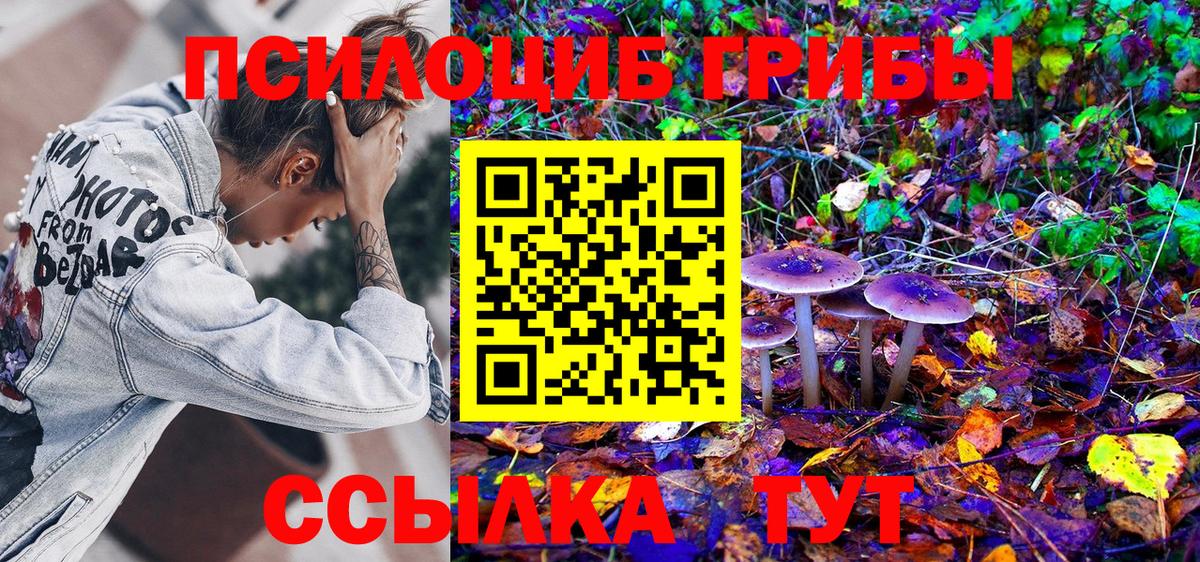 Галлюциногенные грибы ЛСД Красногорск